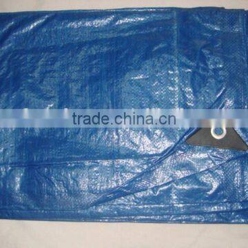 80gsm-300gsm China PE tarpaulin with UV treated for Car /Truck / Boat cover