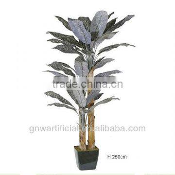 G29 GNW Decorative Banana Plants