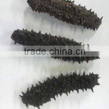 Price of Dried Sea Cucumber for Chinese Foods , Paid Sample Also Available photo-2