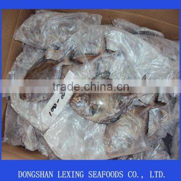 Whole Round Black Pomfret Fish photo-2