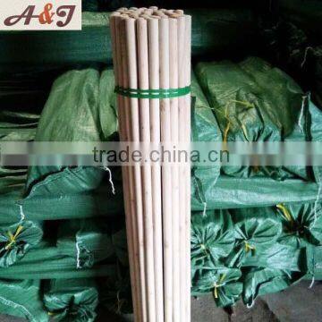 Two-times Polished Vassoura Wood Stick Quality Products photo-2