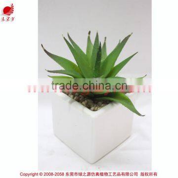 Artificial Mini Aloe Little Plants Succulents Plants Artificial Mini Succulents photo-2