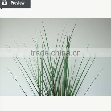 High Quality Home Decoration Artificial Yucca Plant Potted photo-3