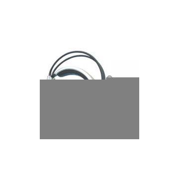 Sell 2.4G Wireless Headphone