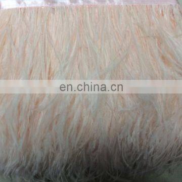 3-4 Inch Ostrich Feather Trimmings With Satin Ribbon photo-2