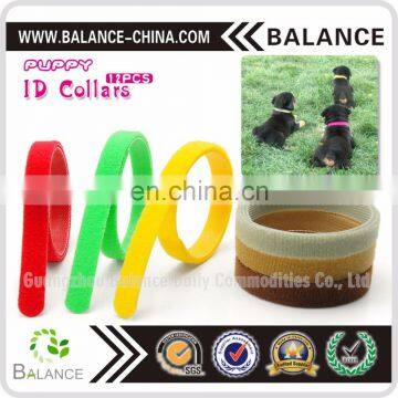 Hook & Loop Puppy Kitten ID Collar With 12 Colors photo-4