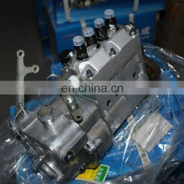 4PW871 Weifu 2100302 Fuel Pump BHF4PM105001 for Yangchai YZ4105ZLQ