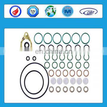 Standard Repair Kit 800619 For Diesel Fuel injection Pump Parts