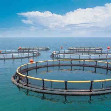 Anti Stormy Waves Floating Fish Cage Deep Sea Aquaculture Cage