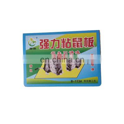 Customized Size Efficient Gel Trap Disposable Sticky Mouse Trap for Restaurant
