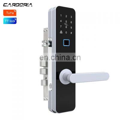 China Door Handle Door Lock Recognize Fingerprint Smart Handle electric gate door lock With APP