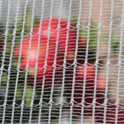 Good Quality Woven Drape Anti Bird Netting Vineyard 10 Years
