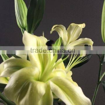 Best quality yellow king fresh easter lily flower