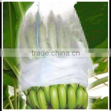 1%UV PP Spunbonded Agriculture nonwoven