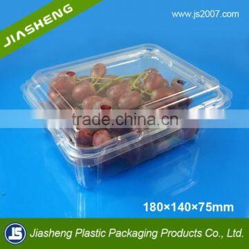 Bento Box Clear Plastic Disposable Pet Fruit Container