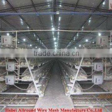 chicken cages prices / chicken farm equipment