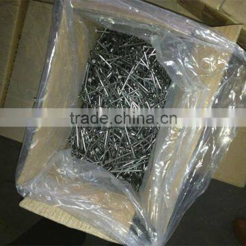 Electro Galvanized Common Wire Nail/common Iron Wire Nails/bright Common Nails Factory photo-5