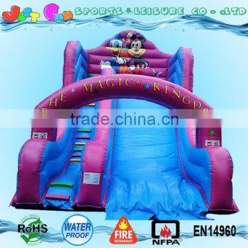 the Magic Kingdom Giant Inflatable Slide for Children, Cartoon Themed Inflatable Castle Slide for Sale photo-3