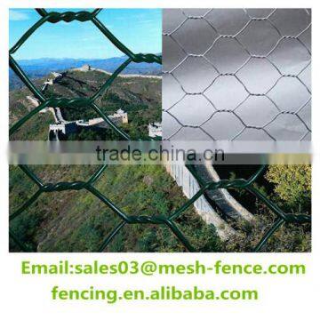PVC/Galvanized Normal / Reverse Twist Hexagonal Chicken Wire Mesh(Factory Price)