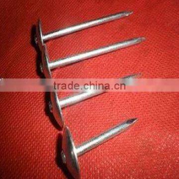 65mm Galvanized Roofing Nails With Umbrella Head photo-4