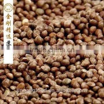 Brown Perilla Seeds for Oil/china Periiia Oil Supplier's Choice photo-3