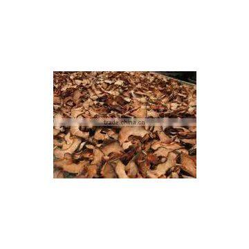 Garcinia Cambogia Dry Fruit Thailand