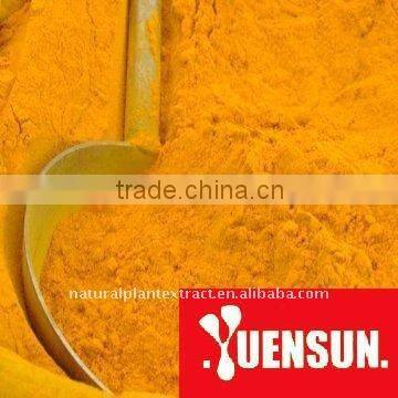 Turmeric Extract Bright yellow powder