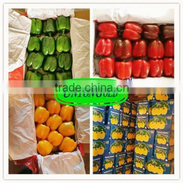 fresh bell pepper,red,yellow,green bell pepper