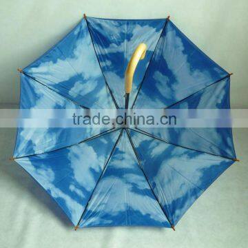 Double layer umbrella with sky & Cloudy printing