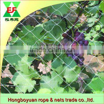 high quality diamond vineyard 100% hdpe bird trapping net