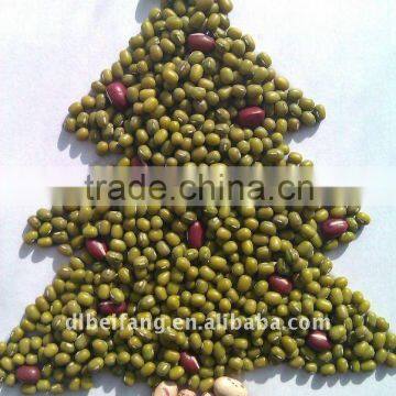 Green Mung Bean ( Sprouting type,2011 crop, jilin origin, hps)