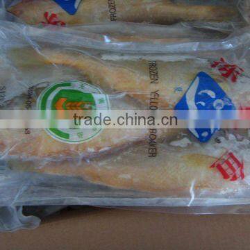 Frozen Yellow Croaker Fish Good Quality