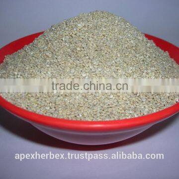 Quinoa / Chenopodium quinoa / Quinoa Grain /Quinoa Bulk Grain