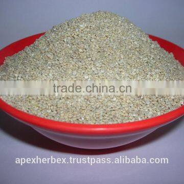 Quinoa / Chenopodium Quinoa / Quinoa Grain /Quinoa Bulk Grain