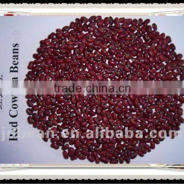 high quality red cowpea China in low price