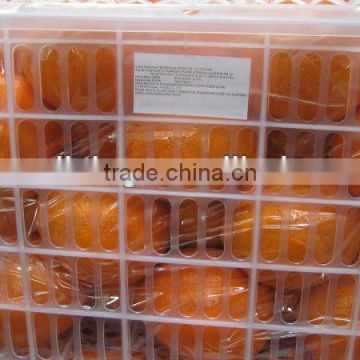 2012 best price navel orange