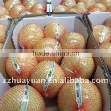 High Quality Sweet Shatian Pomelo