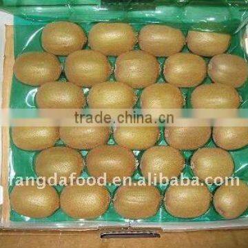 Fresh Kiwi Fruit Suppliers