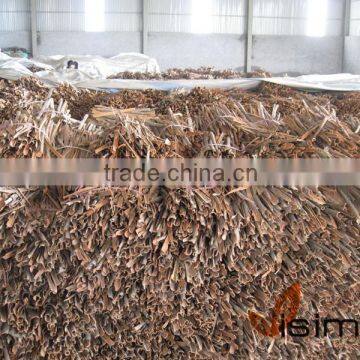 HIGH QUALITY SPLIT CASSIA FROM VIETNAM