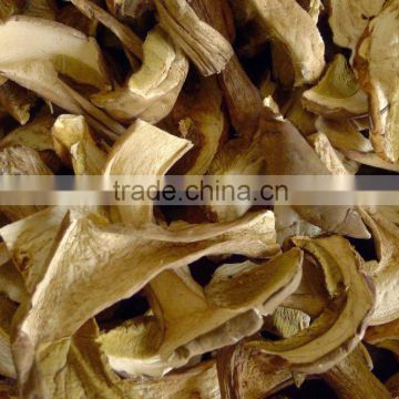 Fresh Natural Organic Mushroom, Dried Porcini Mushrooms Wholesale