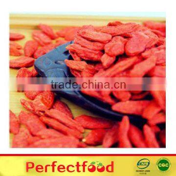 organic and conventional sundried goji berries/wolfberry/import goji berry/LYCIUM BARBARUM