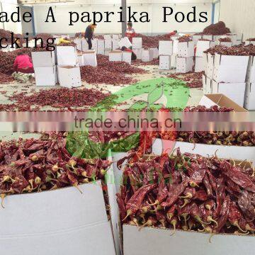 New Chinese Dry Paprika Pods