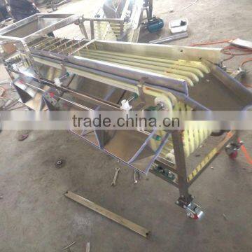 Litchi Sorting Machine, Grading Machine