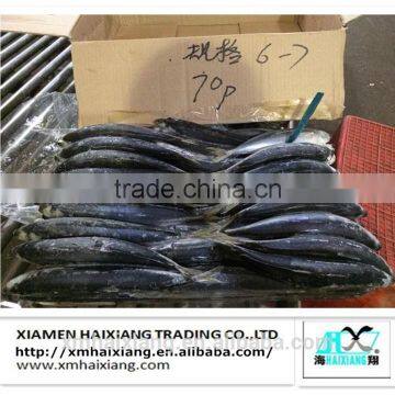 China frozen fish-Frozen round scad mackerel fish