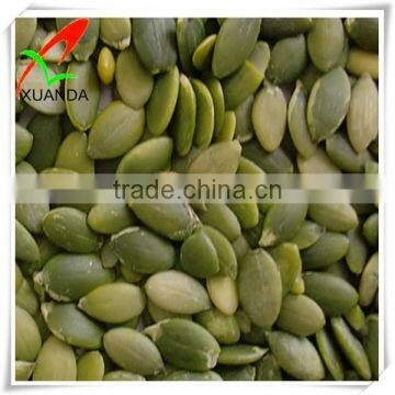 pumpkin seed kernels top quality edible