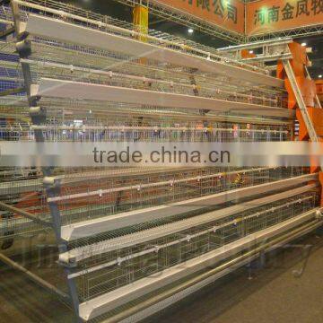 chicken layer cage(with automatic egg collection system)