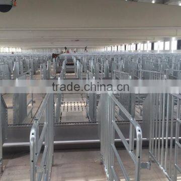 hot-dip galvanized pig gestation stall