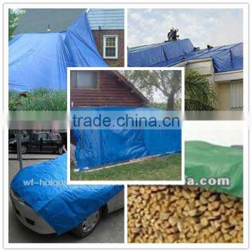 pe tarpaulin /sun proof fabric /woven fabric sheet