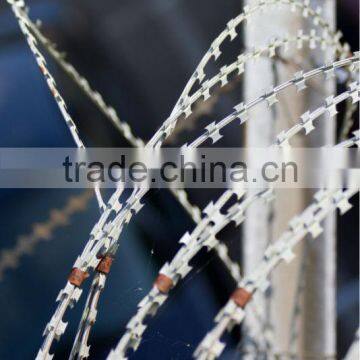 (high Quality)Galvinized Razor Barbed Wire(factory) photo-6