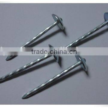 Large Head Roofing Nail China Nail Factory Price From China photo-4